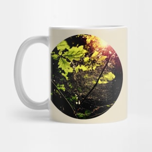 Spiderweb in the Forest Mug